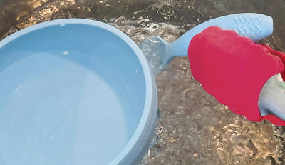 3 façons efficaces d'éliminer les odeurs de la vaisselle en silicone 